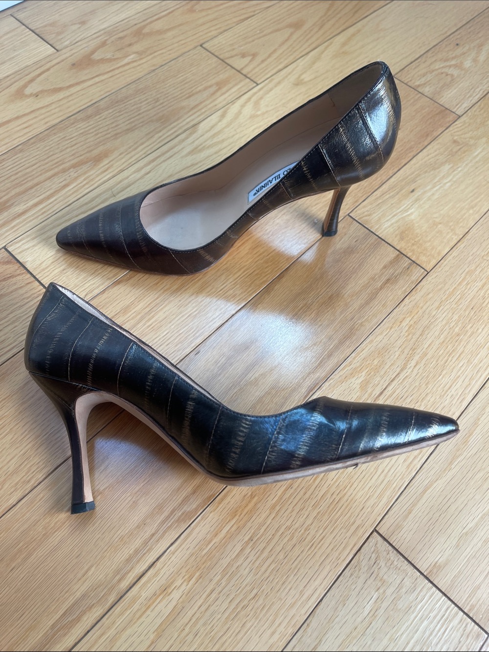 Manolo Blahnik Pointed-Toe Stiletto Pumps in Dark Brown